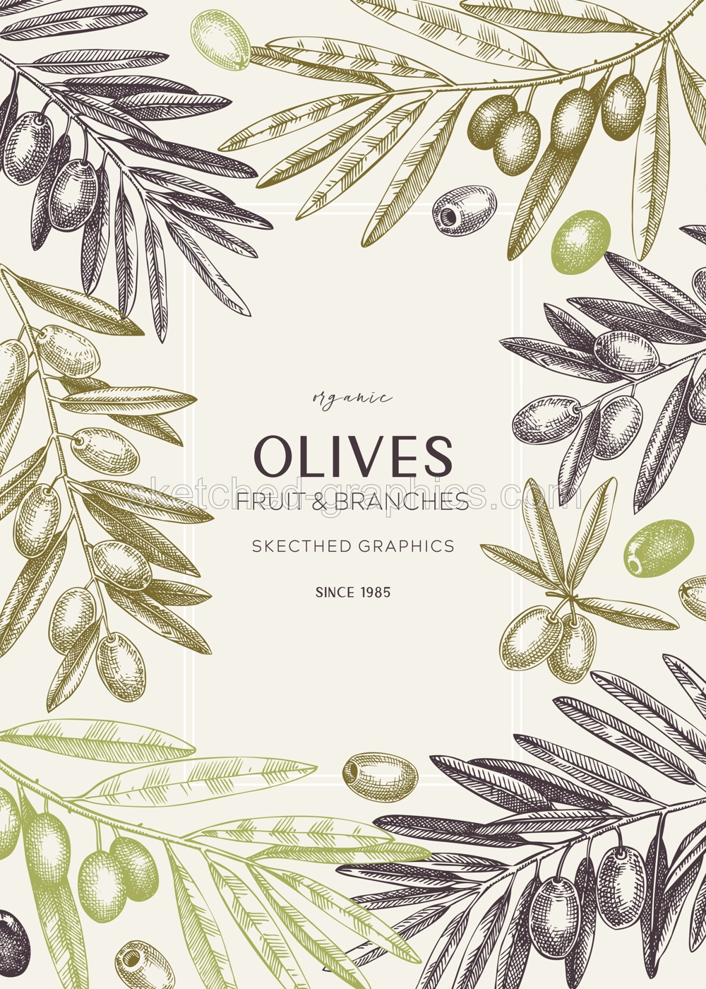 Vinatge olives card design.Olive tree branches sketches. Mediterranean food menu template. Hand-drawn vector illustration. NOT AI generated. Illustration